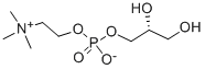 Choline Alfoscerate（GPC）