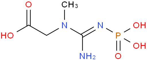 Creatine phosphate